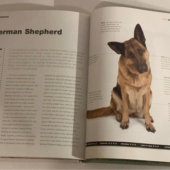 Dogs: From Extremely Large to Very Small • Igloo Books Hardcover Photo Guide - Picture 12 of 16